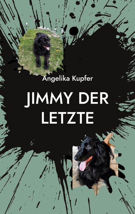 Produktbild: Jimmy der Letzte