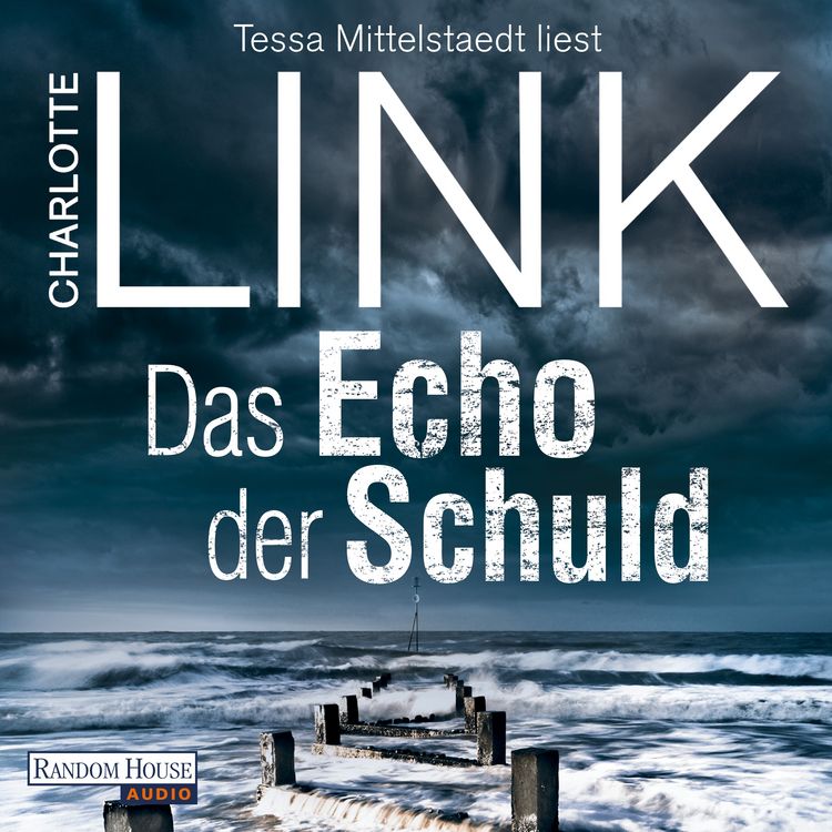 Produktbild: Das Echo der Schuld