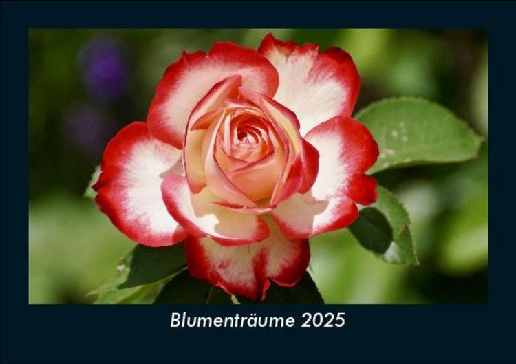 Produktbild: Blumenträume 2025 Fotokalender DIN A5