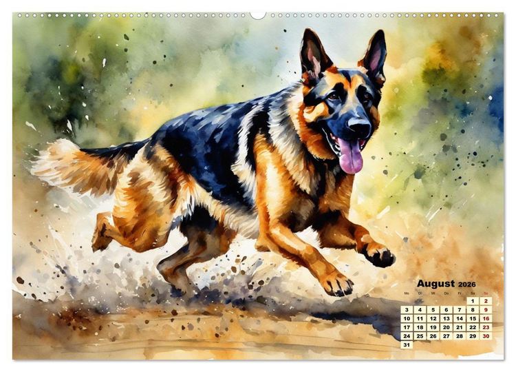 Produktbild: Deutsche Sch&auml;ferhunde - Klassiker rund um den Globus (hochwertiger Premium Wandkalender 2026 DIN A2 quer), Kunstdruck in Hochglanz