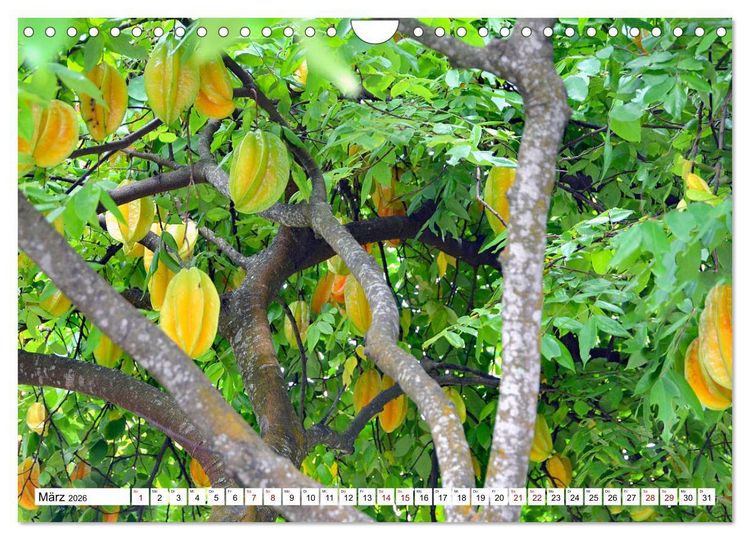 Produktbild: Rarotonga - Trauminsel im S&uuml;dpazifik. (Wandkalender 2026 DIN A4 quer), CALVENDO Monatskalender