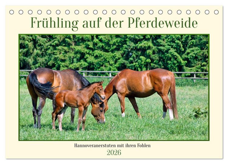 Produktbild: Fr&uuml;hling auf der Pferdeweide (Tischkalender 2026 DIN A5 quer), CALVENDO Monatskalender