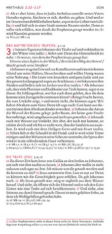 Produktbild: Die Bibel. Taschenausgabe stripe mit roter loser Gummilitze