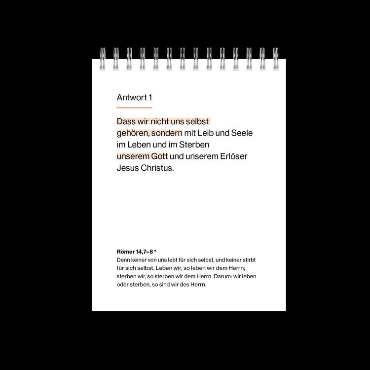 Produktbild: New City Katechismus (Tischkalender)