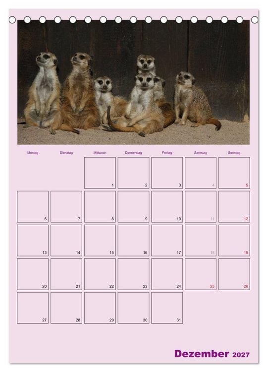 Produktbild: Erdm&auml;nnchen / Terminplaner (Tischkalender 2027 DIN A5 hoch), CALVENDO Monatskalender