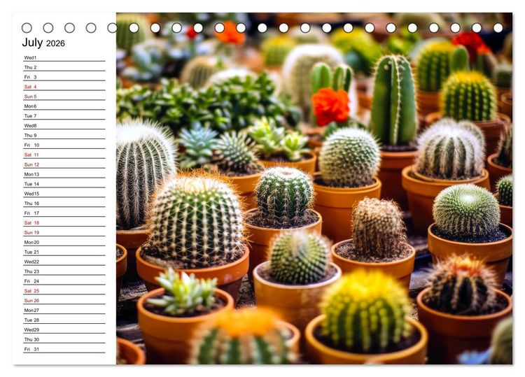 Produktbild: Cacti Wonderland (Desk Calendar 2026 DIN A5 landscape), CALVENDO 12 Month DeskCalendar