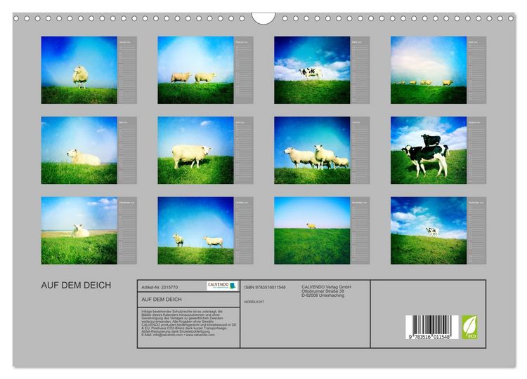 Produktbild: AUF DEM DEICH (Wandkalender 2026 DIN A3 quer), CALVENDO Monatskalender