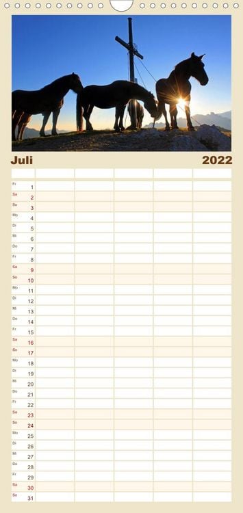 Produktbild: Familienplaner Pferde und Ponys im Paradies (Wandkalender 2022 , 21 cm x 45 cm, hoch)
