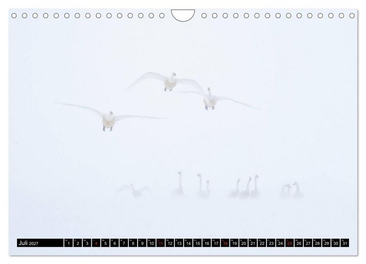 Produktbild: Japanische Vogelwelt im Winter (Wandkalender 2027 DIN A4 quer), CALVENDO Monatskalender