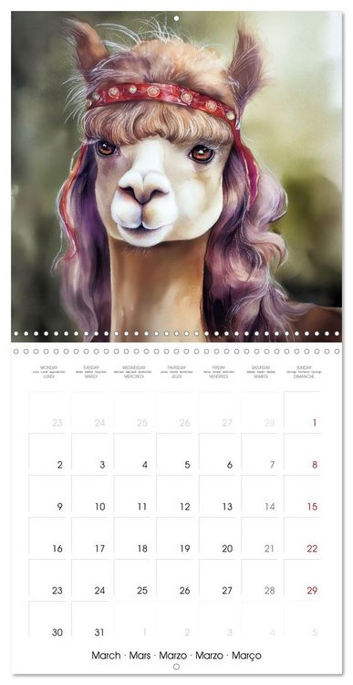 Produktbild: Alpagas du c&oelig;ur (Calendrier mural carr&eacute; 2026 30x30 cm) Calendrier double avec une page pour vos prises de notes