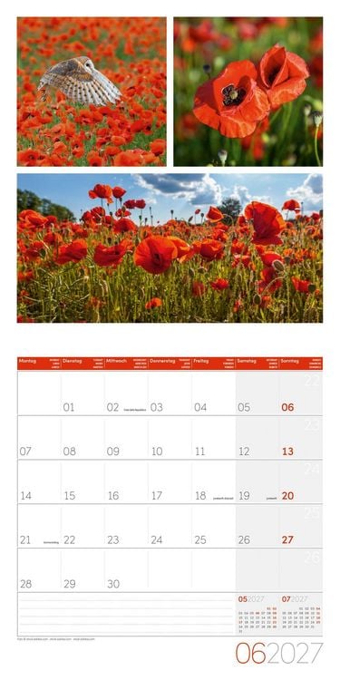Produktbild: Colours of Nature Kalender 2027 - 30x30 - Art12