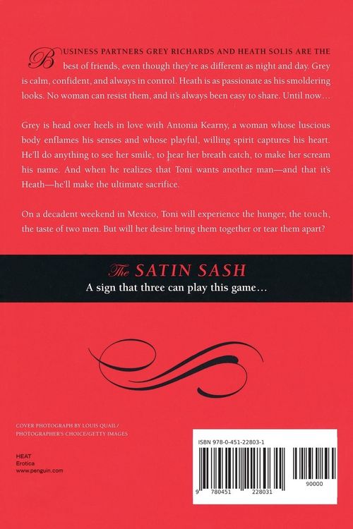 Produktbild: The Satin Sash