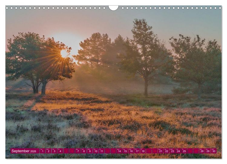 Produktbild: Just lovely - the power of pink heather blossom beauty (Wall Calendar 2026 DIN A3 landscape), CALVENDO 12 Month Wall Calendar