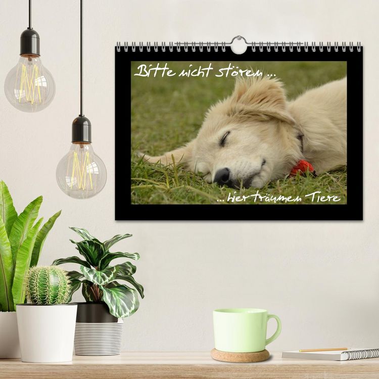 Produktbild: Bitte nicht st&ouml;ren... hier tr&auml;umen Tiere (Wandkalender 2026 DIN A4 quer), CALVENDO Monatskalender