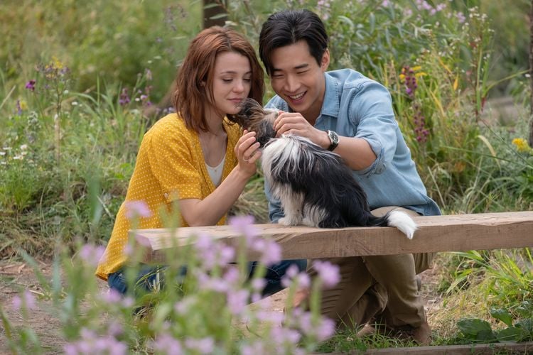 Produktbild: Bailey - Ein Hund kehrt zur&uuml;ck