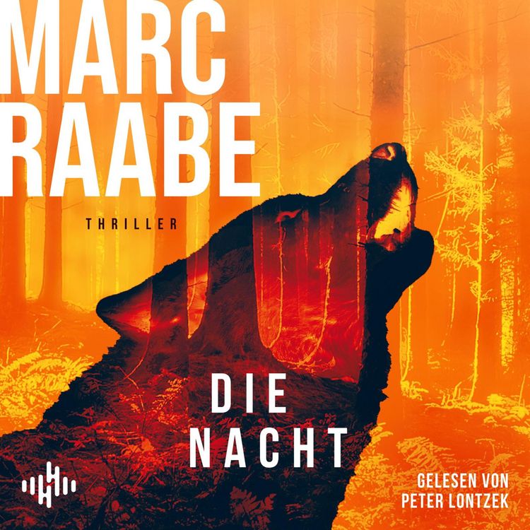 Bild vom Artikel Die Nacht (Art Mayer-Serie 3) vom Autor Marc Raabe