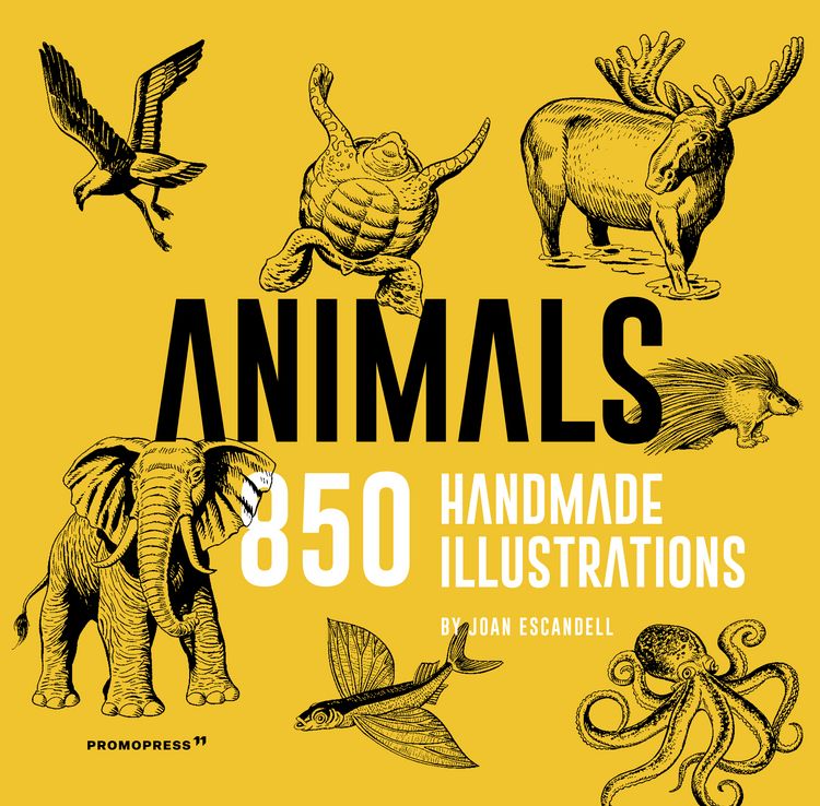 Produktbild: Animals: 850 Handmade Illustrations