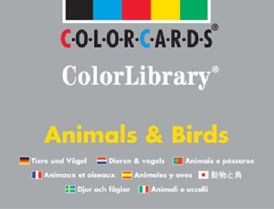 Produktbild: Speechmark: Animals & Birds ColorLibrary: Colorcards
