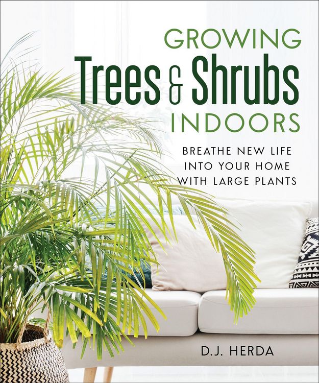 Produktbild: Growing Trees and Shrubs Indoors