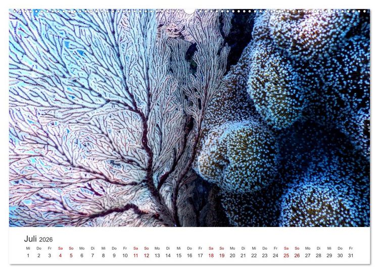 Produktbild: Tiefsee - Ein Abenteuer ins Unbekannte. (hochwertiger Premium Wandkalender 2026 DIN A2 quer), Kunstdruck in Hochglanz