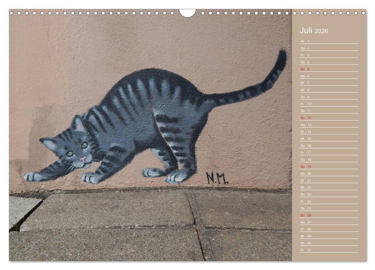 Produktbild: Flensburger Katzen (Wandkalender 2026 DIN A3 quer), CALVENDO Monatskalender