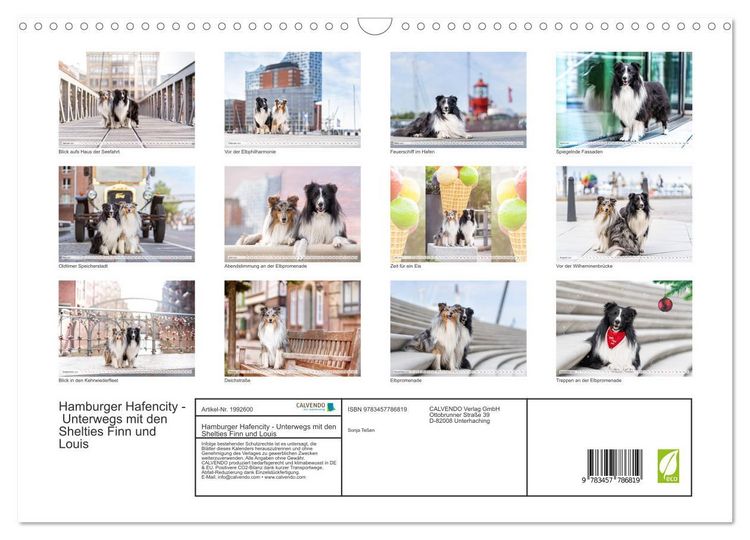 Produktbild: Hamburger Hafencity - Unterwegs mit den Shelties Finn und Louis (Wandkalender 2026 DIN A3 quer), CALVENDO Monatskalender