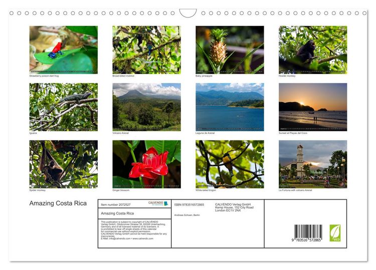 Produktbild: Amazing Costa Rica (Wall Calendar 2026 DIN A3 landscape), CALVENDO 12 Month Wall Calendar