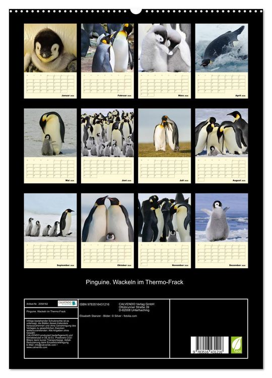 Produktbild: Pinguine. Wackeln im Thermo-Frack (hochwertiger Premium Wandkalender 2026 DIN A2 hoch), Kunstdruck in Hochglanz