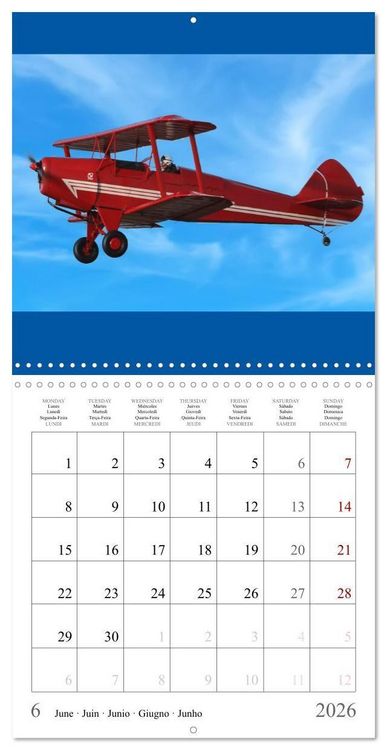 Produktbild: Gayde, F: Airplanes in the blue sky (Wall Calendar 2026 12 &times;