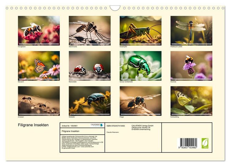 Produktbild: Filigrane Insekten (Wandkalender 2026 DIN A3 quer), CALVENDO Monatskalender