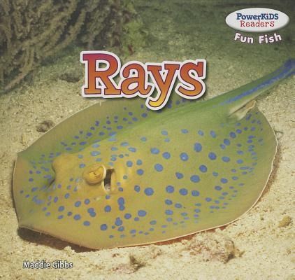 Produktbild: RAYS