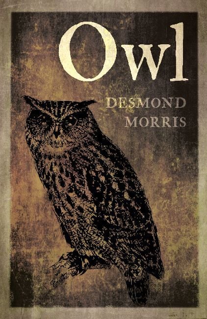 Produktbild: Owl