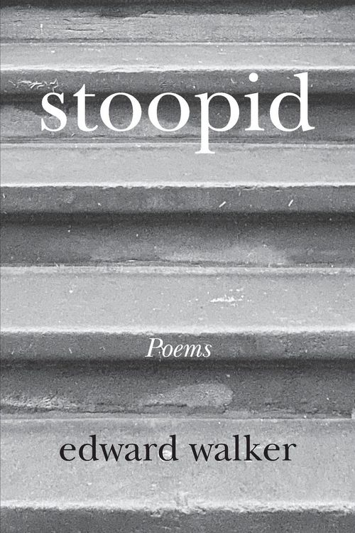 Produktbild: Stoopid