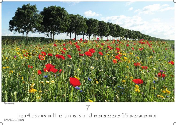 Produktbild: Niederlande Kalender 2027 &ndash; Wandkalender | Fotokalender Mitteleuropa 24x35cm - Entdecken Sie die sch&ouml;nsten Sehensw&uuml;rdigkeiten der Niederlande