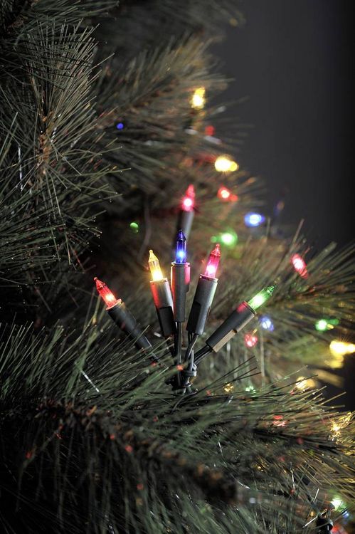 Produktbild: Konstsmide 6303-500 Mini-Lichterkette Innen netzbetrieben Anzahl Leuchtmittel 50 LED Mehrfarbig Beleuchtete L&auml;nge: 7.35 m