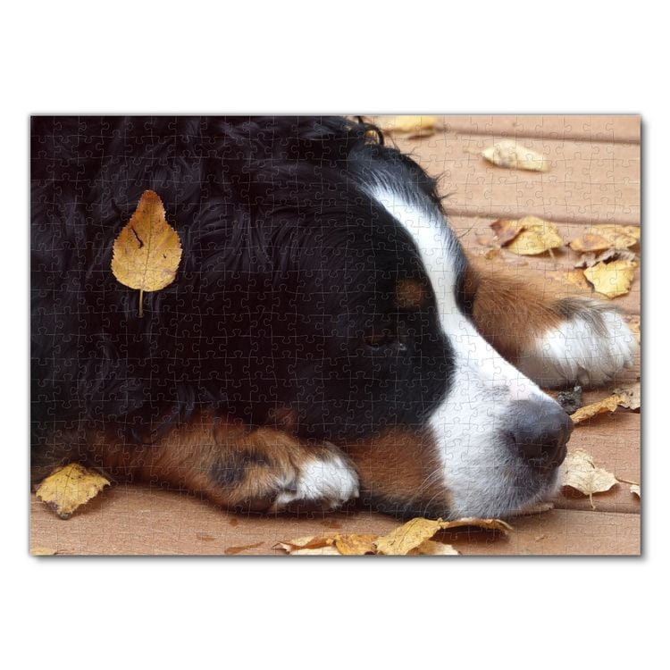 Produktbild: Lais Puzzle Berner Sennenhund 500 Teile