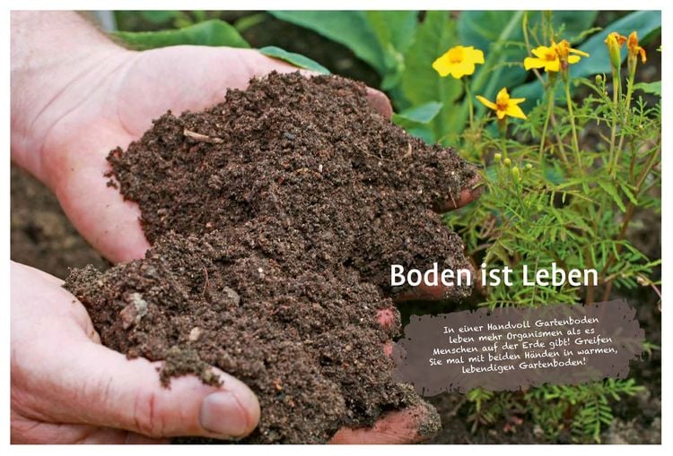 Produktbild: Naturgarten ganz einfach