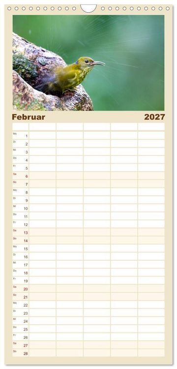 Produktbild: Familienplaner 2027 - Zwischen Nebel und Baumriesen - V&ouml;gel Borneos mit 5 Spalten (Wandkalender, 21 x 45 cm) CALVENDO
