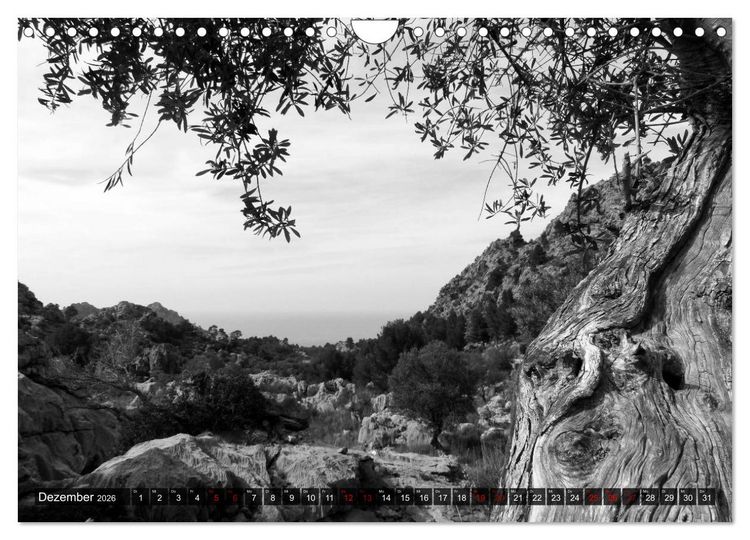Produktbild: Mallorca monochrom (Wandkalender 2026 DIN A4 quer), CALVENDO Monatskalender
