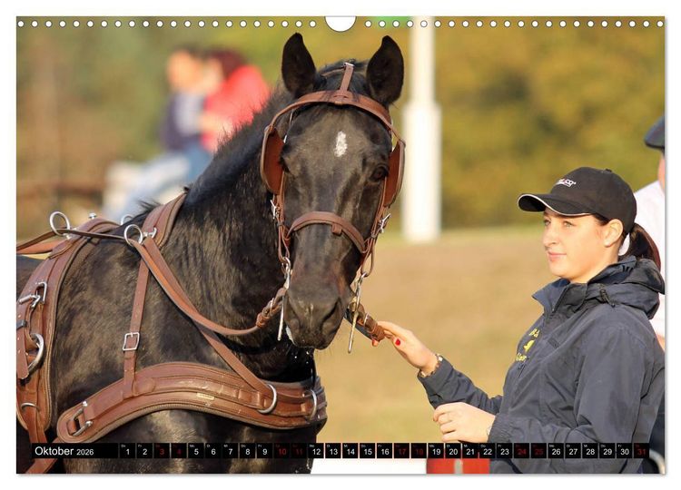 Produktbild: Schwere Warmbl&uuml;ter 2026 (Wandkalender 2026 DIN A3 quer), CALVENDO Monatskalender