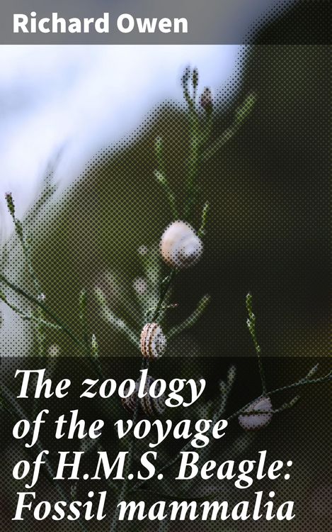 Produktbild: The zoology of the voyage of H.M.S. Beagle: Fossil mammalia