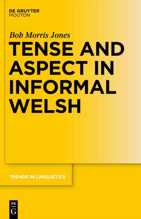 Produktbild: Tense and Aspect in Informal Welsh