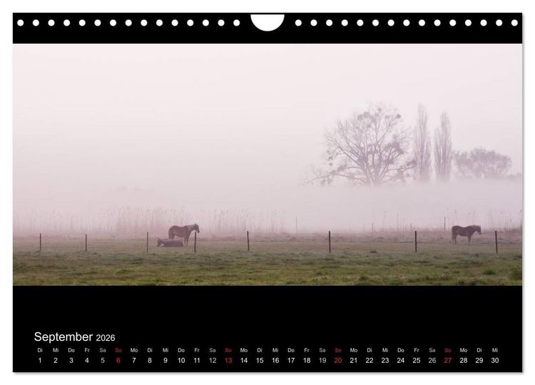 Produktbild: NEBEL (Wandkalender 2026 DIN A4 quer), CALVENDO Monatskalender