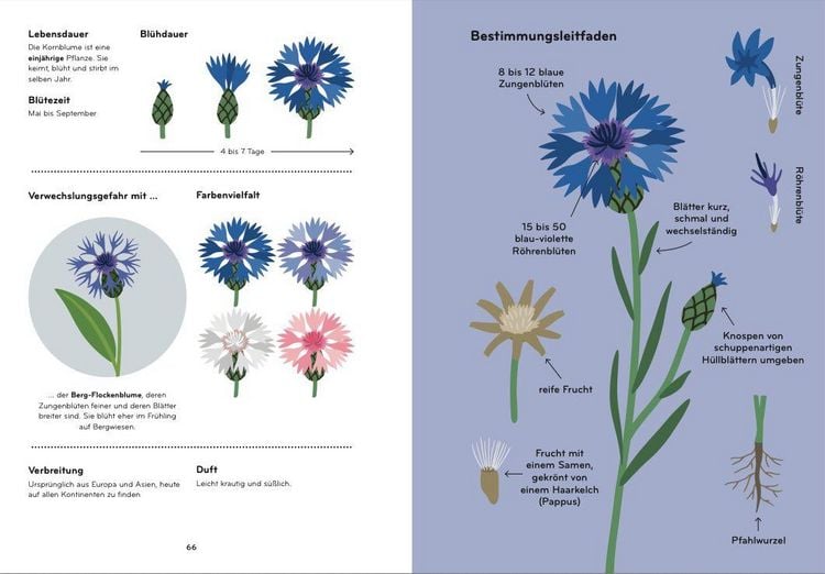Produktbild: Florama