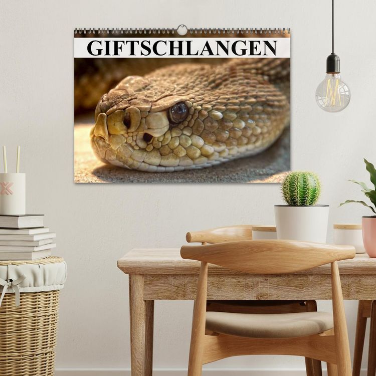 Produktbild: Giftschlangen (Wandkalender 2026 DIN A3 quer), CALVENDO Monatskalender