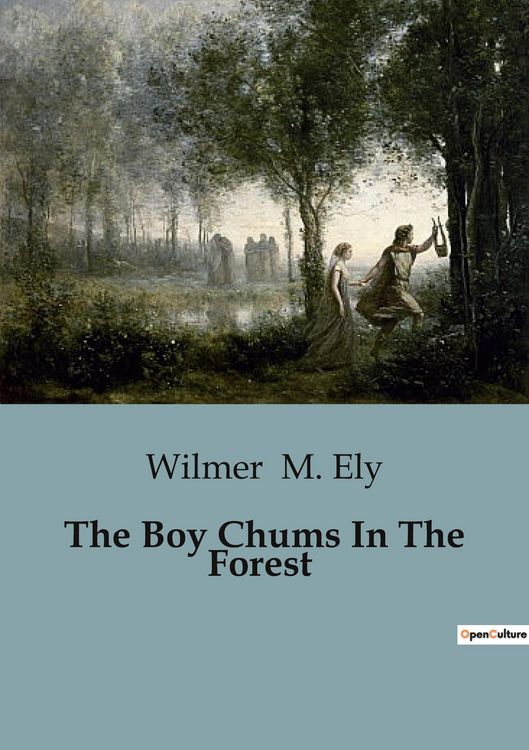 Produktbild: The Boy Chums In The Forest