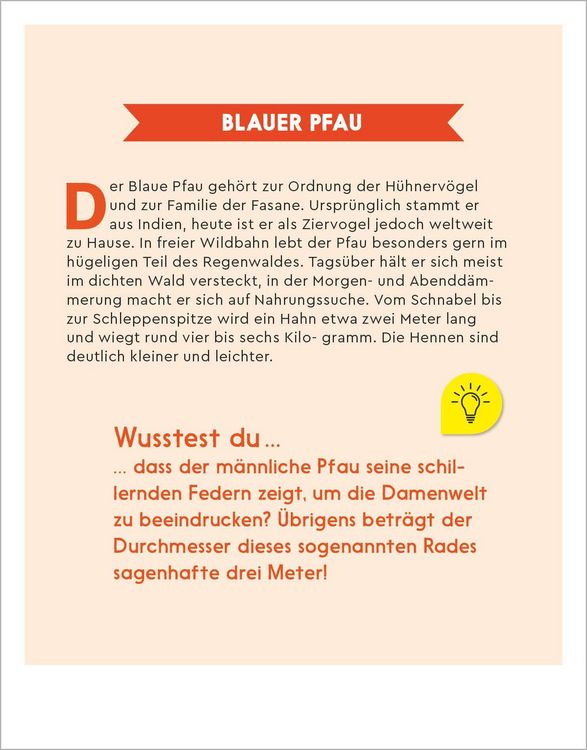Produktbild: Der GEOlino-Kalender 2027