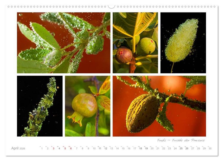 Produktbild: Sehnsucht Provence - Land des Lichts (hochwertiger Premium Wandkalender 2026 DIN A2 quer), Kunstdruck in Hochglanz