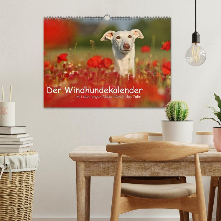 Produktbild: Der Windhundekalender (Wandkalender 2026 DIN A3 quer), CALVENDO Monatskalender