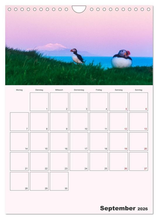 Produktbild: Papageitaucher Monatsplaner (Wandkalender 2026 DIN A4 hoch), CALVENDO Monatskalender